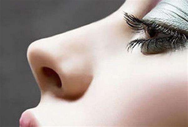 韩式<a href=http://www.mx185.com/listinfo-737-0.html target=_blank class=infotextkey>隆鼻</a>的原理