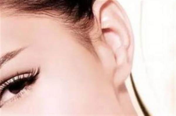 自体脂肪干/细胞<a href=http://www.mx185.com/listinfo-694-0.html target=_blank class=infotextkey>丰耳垂</a>多少钱