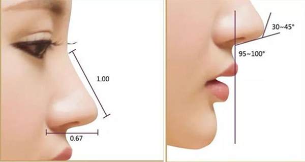 自体脂肪<a href=http://www.mx185.com/listinfo-737-0.html target=_blank class=infotextkey>隆鼻</a>技术怎么样